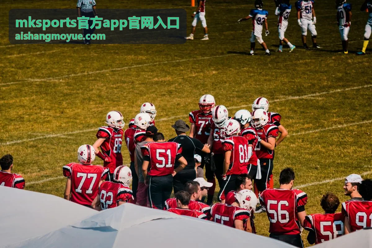 mksports官方app榜单排名与积分变化
